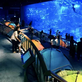 SEA Aquarium