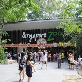 Singapore Zoo